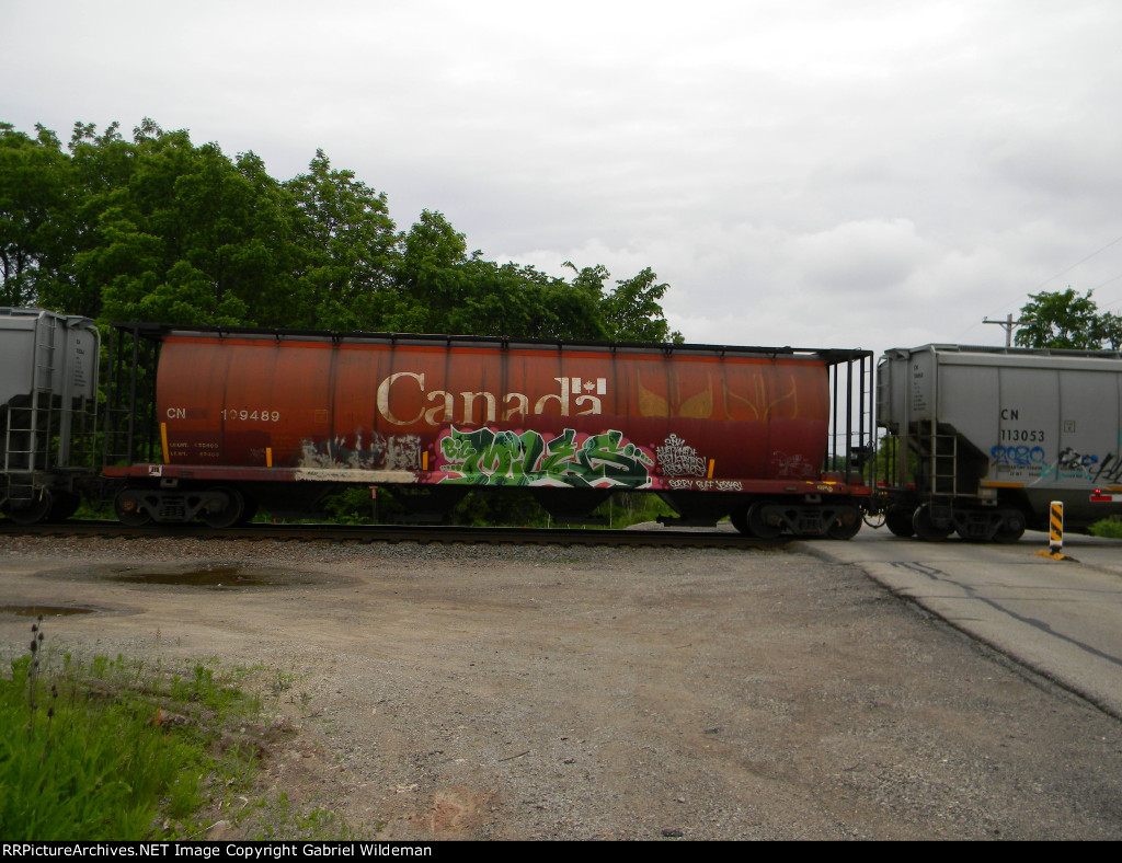 CN 109489